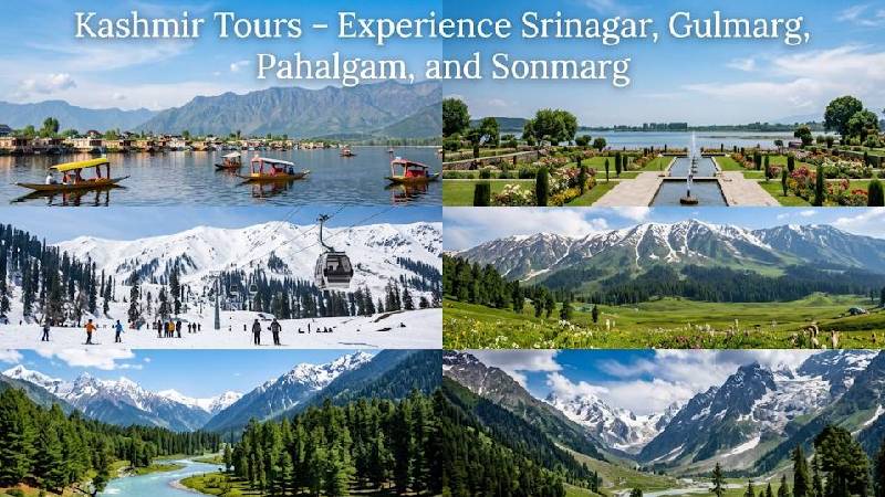 Anish Tour & Travels | Taxi Service, Car Rental & North India Tour Packages